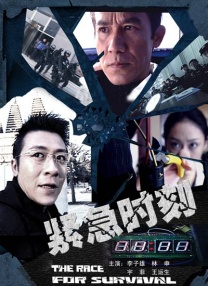 岳母的简介